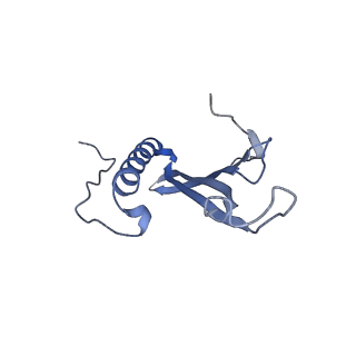 41657_8tw2_BP_v1-0
Acinetobacter phage AP205 T=4 VLP
