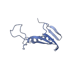 41657_8tw2_BS_v1-0
Acinetobacter phage AP205 T=4 VLP