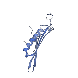 41657_8tw2_BU_v1-0
Acinetobacter phage AP205 T=4 VLP
