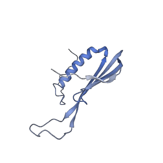 41657_8tw2_BV_v1-0
Acinetobacter phage AP205 T=4 VLP