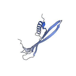 41657_8tw2_BX_v1-0
Acinetobacter phage AP205 T=4 VLP