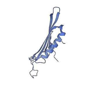 41657_8tw2_CG_v1-0
Acinetobacter phage AP205 T=4 VLP