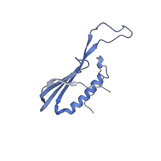 41657_8tw2_CH_v1-0
Acinetobacter phage AP205 T=4 VLP