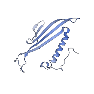 41657_8tw2_CK_v1-0
Acinetobacter phage AP205 T=4 VLP