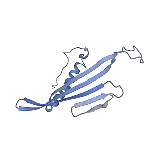 41657_8tw2_CL_v1-0
Acinetobacter phage AP205 T=4 VLP