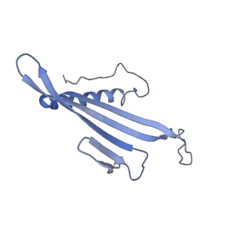 41657_8tw2_CO_v1-0
Acinetobacter phage AP205 T=4 VLP