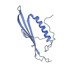 41657_8tw2_CS_v1-0
Acinetobacter phage AP205 T=4 VLP