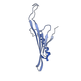 41657_8tw2_CT_v1-0
Acinetobacter phage AP205 T=4 VLP