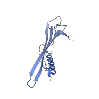 41657_8tw2_CW_v1-0
Acinetobacter phage AP205 T=4 VLP