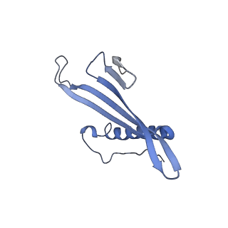 41657_8tw2_CZ_v1-0
Acinetobacter phage AP205 T=4 VLP