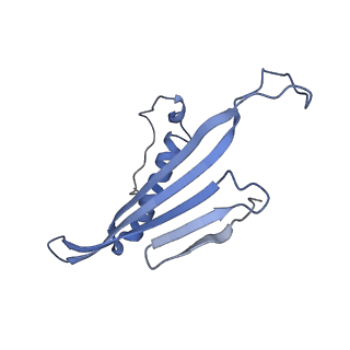 41657_8tw2_DA_v1-0
Acinetobacter phage AP205 T=4 VLP