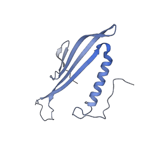 41657_8tw2_DB_v1-0
Acinetobacter phage AP205 T=4 VLP