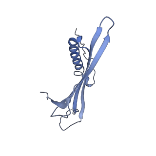 41657_8tw2_DC_v1-0
Acinetobacter phage AP205 T=4 VLP