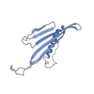 41657_8tw2_DF_v1-0
Acinetobacter phage AP205 T=4 VLP