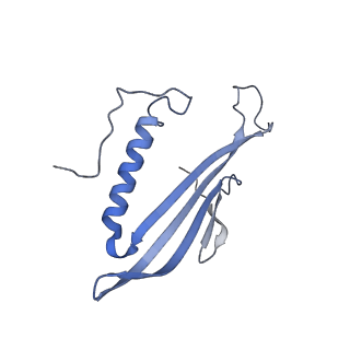 41657_8tw2_DG_v1-0
Acinetobacter phage AP205 T=4 VLP