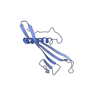 41657_8tw2_DI_v1-0
Acinetobacter phage AP205 T=4 VLP