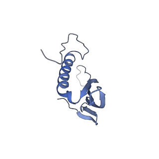 41657_8tw2_DJ_v1-0
Acinetobacter phage AP205 T=4 VLP