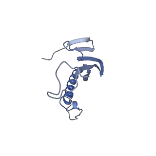 41657_8tw2_DK_v1-0
Acinetobacter phage AP205 T=4 VLP