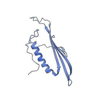 41657_8tw2_DL_v1-0
Acinetobacter phage AP205 T=4 VLP