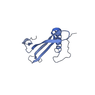 41657_8tw2_DP_v1-0
Acinetobacter phage AP205 T=4 VLP