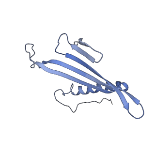 41657_8tw2_DR_v1-0
Acinetobacter phage AP205 T=4 VLP