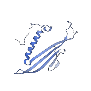 41657_8tw2_DT_v1-0
Acinetobacter phage AP205 T=4 VLP