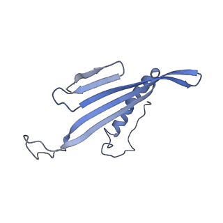 41657_8tw2_DU_v1-0
Acinetobacter phage AP205 T=4 VLP