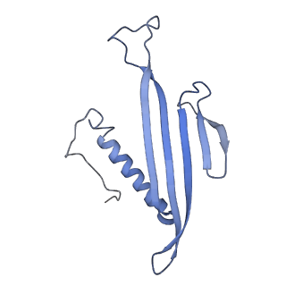 41657_8tw2_DV_v1-0
Acinetobacter phage AP205 T=4 VLP