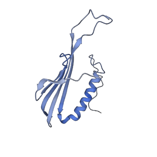 41657_8tw2_DZ_v1-0
Acinetobacter phage AP205 T=4 VLP