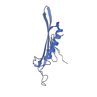 41657_8tw2_EA_v1-0
Acinetobacter phage AP205 T=4 VLP