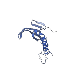 41657_8tw2_EC_v1-0
Acinetobacter phage AP205 T=4 VLP