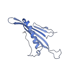 41657_8tw2_ED_v1-0
Acinetobacter phage AP205 T=4 VLP