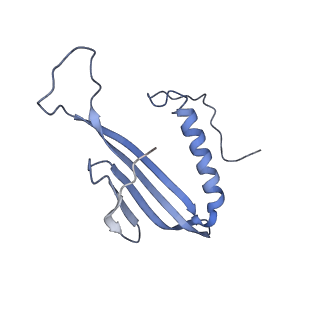 41657_8tw2_EE_v1-0
Acinetobacter phage AP205 T=4 VLP