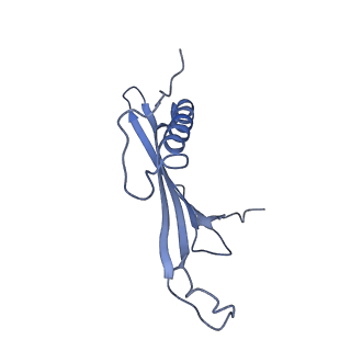 41657_8tw2_EF_v1-0
Acinetobacter phage AP205 T=4 VLP