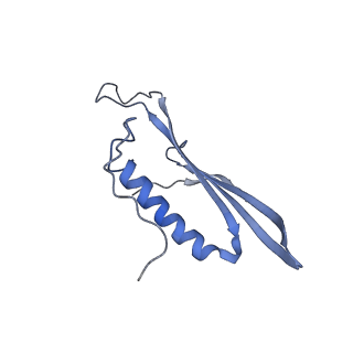 41657_8tw2_EI_v1-0
Acinetobacter phage AP205 T=4 VLP