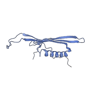 41657_8tw2_EL_v1-0
Acinetobacter phage AP205 T=4 VLP