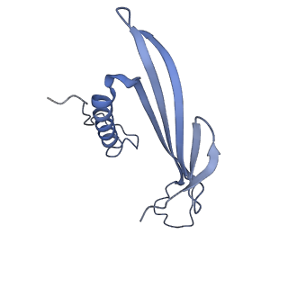 41657_8tw2_EN_v1-0
Acinetobacter phage AP205 T=4 VLP
