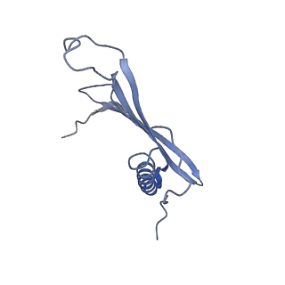 41657_8tw2_EO_v1-0
Acinetobacter phage AP205 T=4 VLP