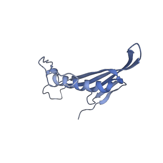 41657_8tw2_EP_v1-0
Acinetobacter phage AP205 T=4 VLP