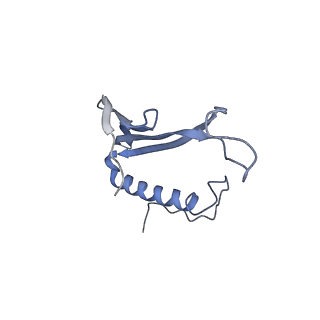 41657_8tw2_EQ_v1-0
Acinetobacter phage AP205 T=4 VLP