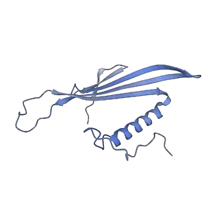 41657_8tw2_ET_v1-0
Acinetobacter phage AP205 T=4 VLP