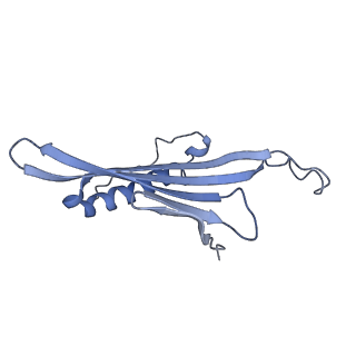 41657_8tw2_EU_v1-0
Acinetobacter phage AP205 T=4 VLP