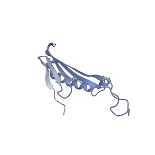 41657_8tw2_EW_v1-0
Acinetobacter phage AP205 T=4 VLP