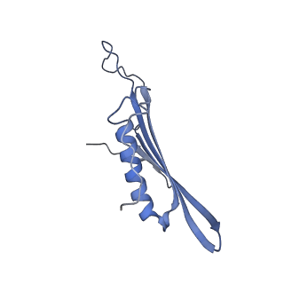 41657_8tw2_EX_v1-0
Acinetobacter phage AP205 T=4 VLP