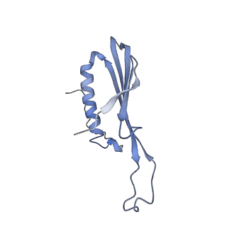 41657_8tw2_EY_v1-0
Acinetobacter phage AP205 T=4 VLP