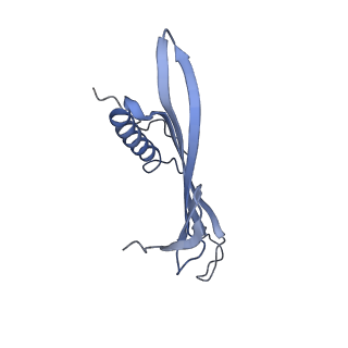 41657_8tw2_FB_v1-0
Acinetobacter phage AP205 T=4 VLP