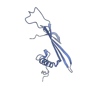 41657_8tw2_FC_v1-0
Acinetobacter phage AP205 T=4 VLP