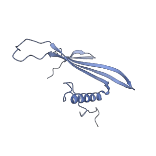 41657_8tw2_FD_v1-0
Acinetobacter phage AP205 T=4 VLP