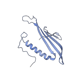 41657_8tw2_FF_v1-0
Acinetobacter phage AP205 T=4 VLP