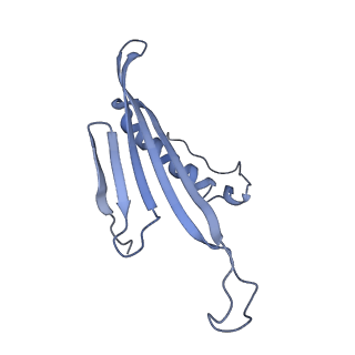 41657_8tw2_FG_v1-0
Acinetobacter phage AP205 T=4 VLP